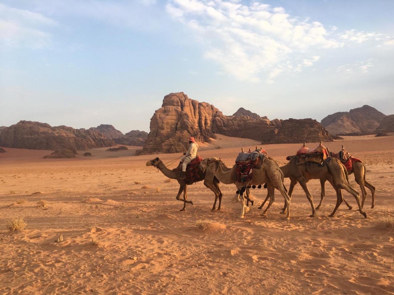 Wadi Rum Stars Camp Екстер'єр фото