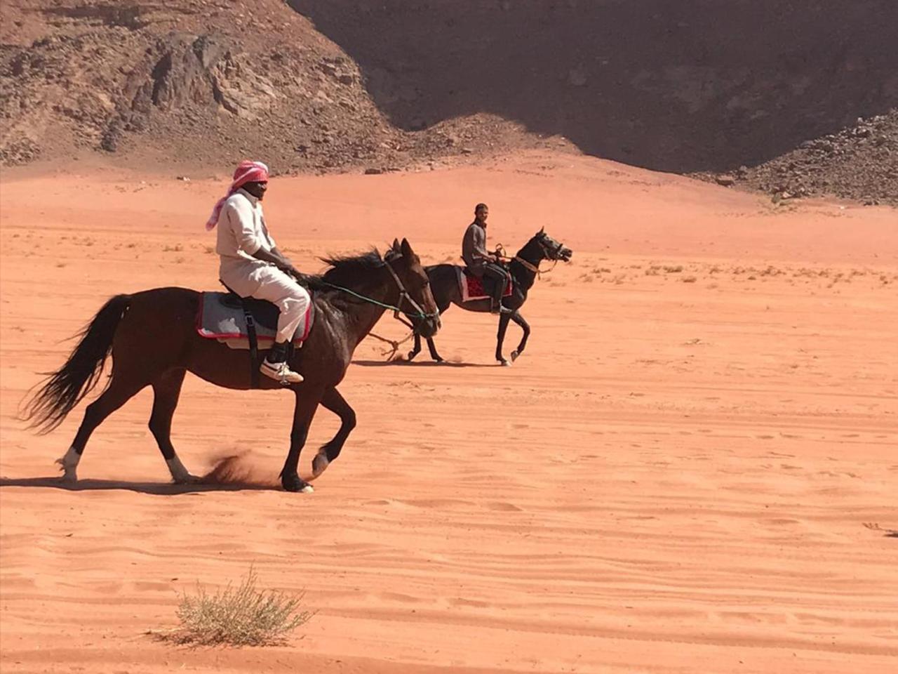 Wadi Rum Stars Camp Екстер'єр фото